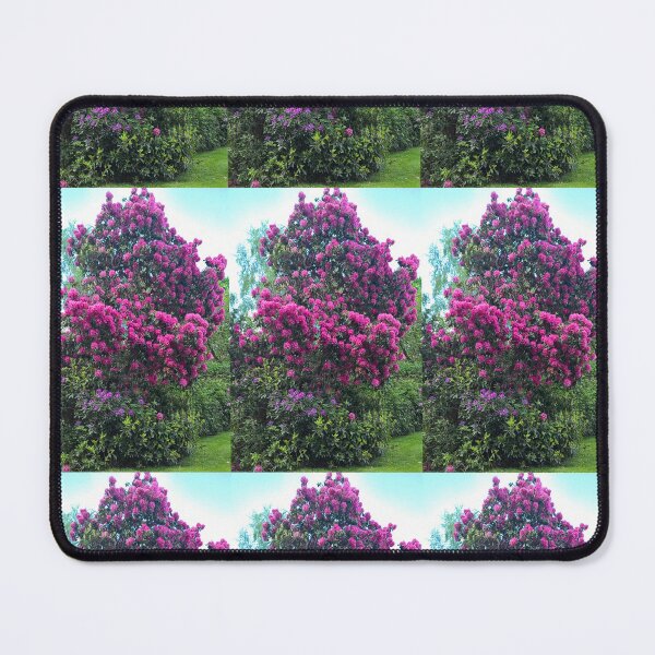 Artikelvorschau, Azalee, Blumen Frühling, Baum Azalee, Natürlich, Vorfrühling entworfen und verkauft von colorgallery11.