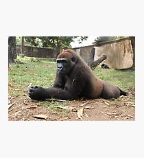 Power At Rest Photographic Print
