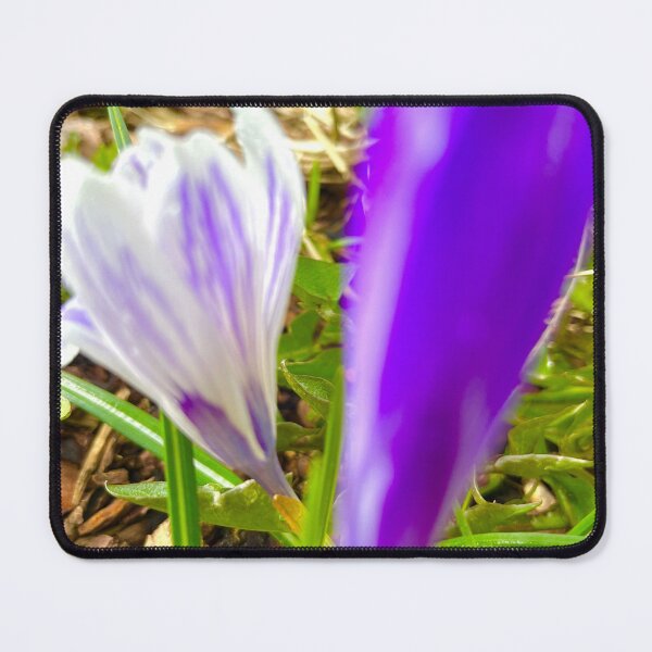 Item preview, crocus designed and sold by AntoniaGallery.