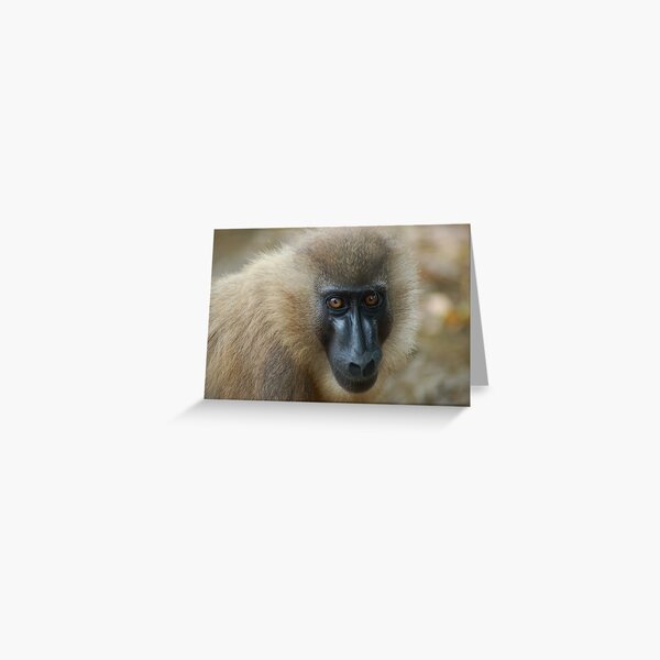 Portrait of a Drill Greeting Card