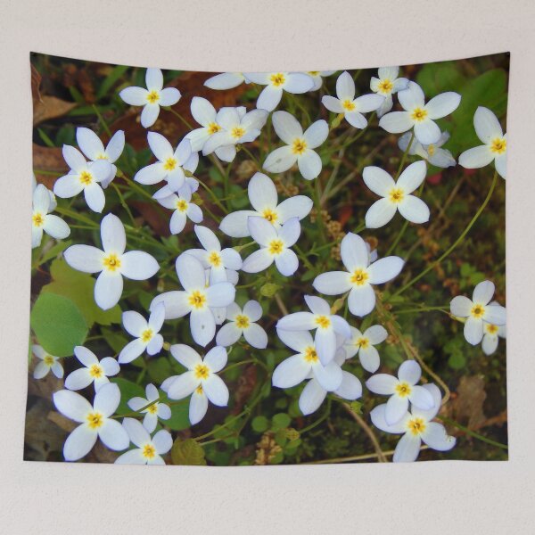 Item preview, Bluet Bouquet designed and sold by gistinker.