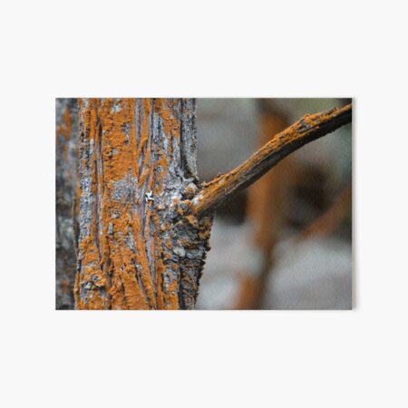 Item preview, Rusty Moss On A Tree Trunk designed and sold by exploramum.