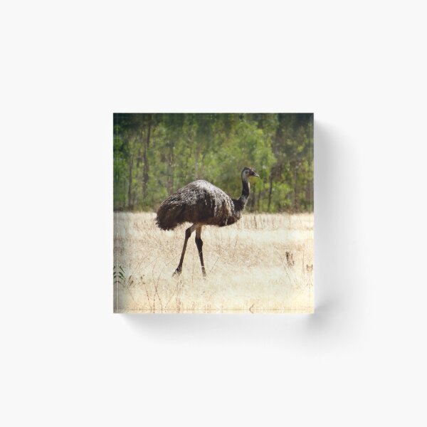Item preview, Emu in a field designed and sold by exploramum.