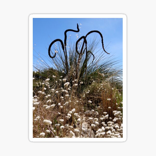 Item preview, Blackboy Poker Plants and Wild Grasses - Australia designed and sold by exploramum.