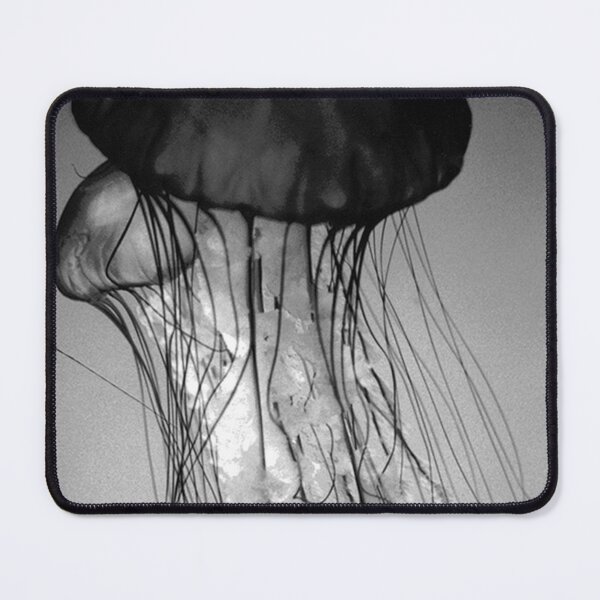 Item preview, Black jellyfish designed and sold by Isch.