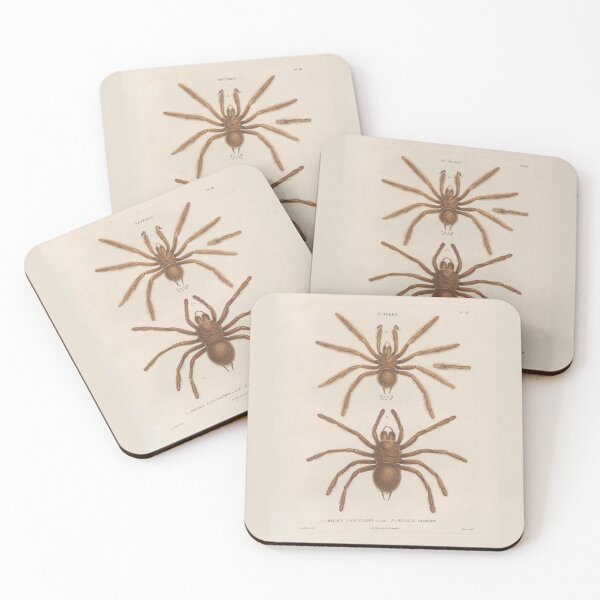 Item preview, Spiders, Vintage Scientific Vintage Illustration designed and sold by Lacasadellora.