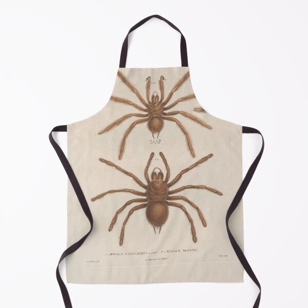 Item preview, Spiders, Vintage Scientific Vintage Illustration designed and sold by Lacasadellora.