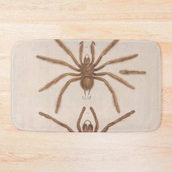 Item preview, Spiders, Vintage Scientific Vintage Illustration designed and sold by Lacasadellora.