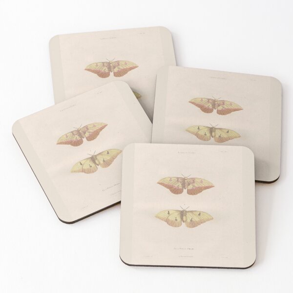 Item preview, Butterflies, Vintage Scientific Illustration designed and sold by Lacasadellora.