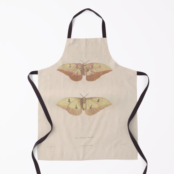 Item preview, Butterflies, Vintage Scientific Illustration designed and sold by Lacasadellora.