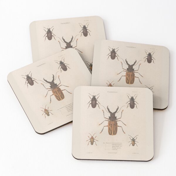 Item preview, Coleopteres, Vintage Scientific Illustration designed and sold by Lacasadellora.