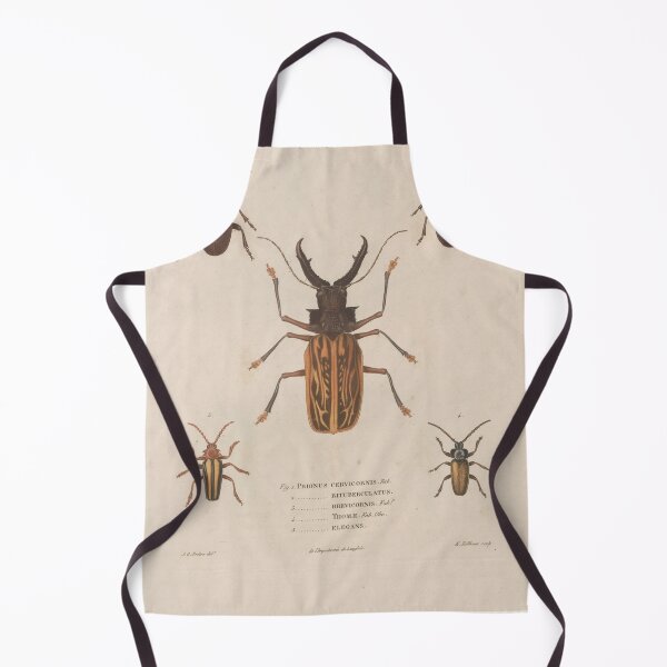 Item preview, Coleopteres, Vintage Scientific Illustration designed and sold by Lacasadellora.