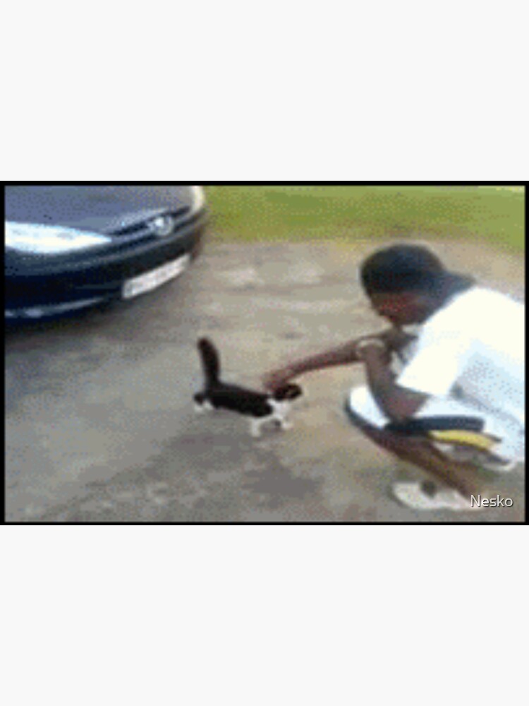 "We don't kick cats" Sticker for Sale by Nesko Redbubble