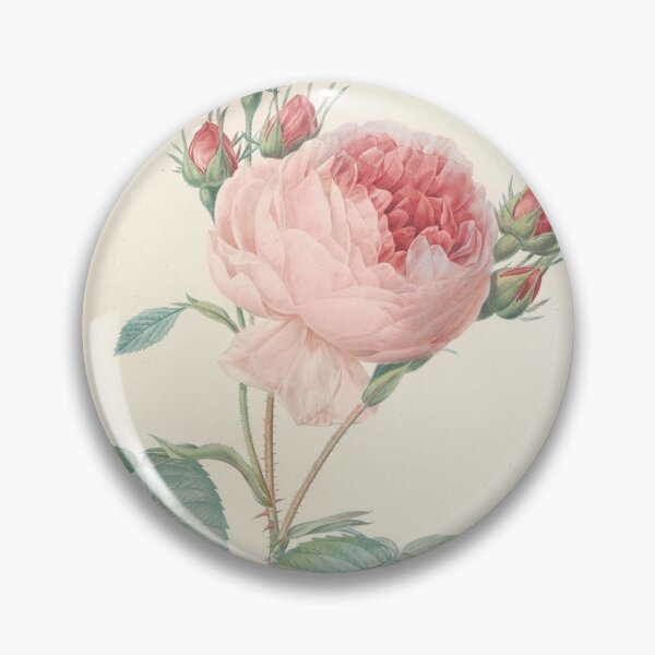 Item preview, Rosa Centifolia Flower Scientific Vintage Illustration designed and sold by Lacasadellora.