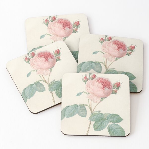 Item preview, Rosa Centifolia Flower Scientific Vintage Illustration designed and sold by Lacasadellora.