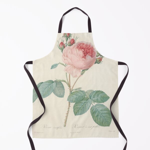 Item preview, Rosa Centifolia Flower Scientific Vintage Illustration designed and sold by Lacasadellora.