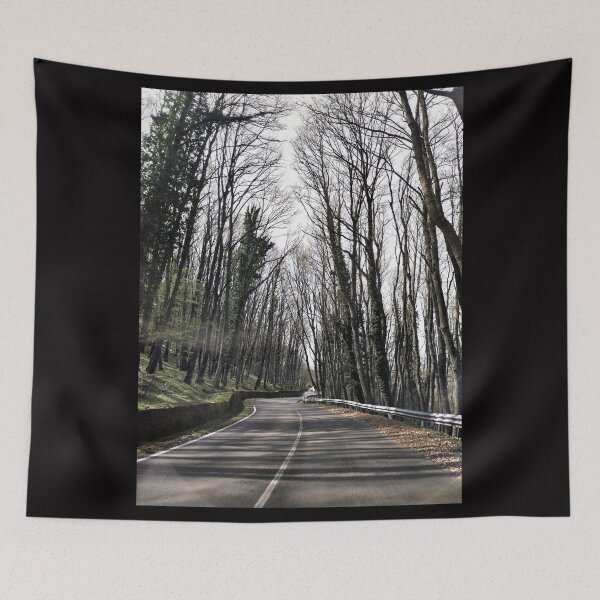 Item preview, Tranquil Drive: Asphalt Road through Gargano Forest designed and sold by EpicVistas.