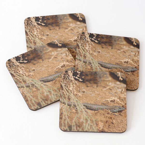 Item preview, Haria Lizard Nature Lovers Fuerteventura designed and sold by eddiebarronshop.