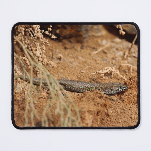 Item preview, Haria Lizard Nature Lovers Fuerteventura designed and sold by eddiebarronshop.