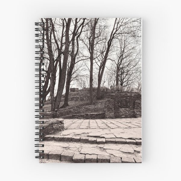 Item preview, Old castle ruins. Riga 2024 bw designed and sold by Jouko Lehto Photography.