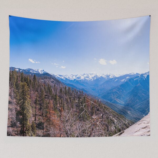 Item preview, Sequoia  Panoramic designed and sold by mpparnell.