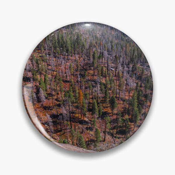 Item preview, Sea of Treas at Sequoia designed and sold by mpparnell.