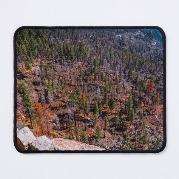 Item preview, Sea of Treas at Sequoia designed and sold by mpparnell.