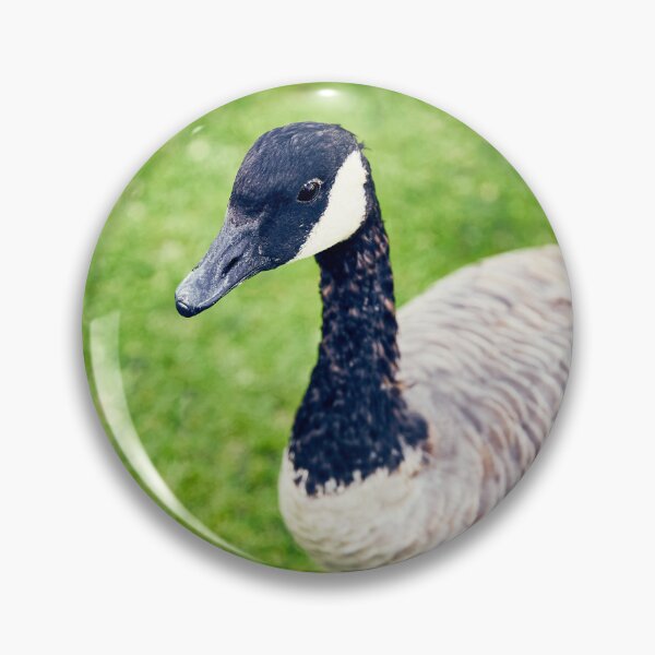 Item preview, Riverfront Park Goose, Spokane, WA designed and sold by Acorns + Oak Photography.