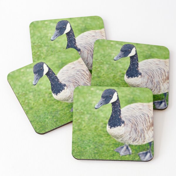 Item preview, Riverfront Park Goose, Spokane, WA designed and sold by Acorns + Oak Photography.