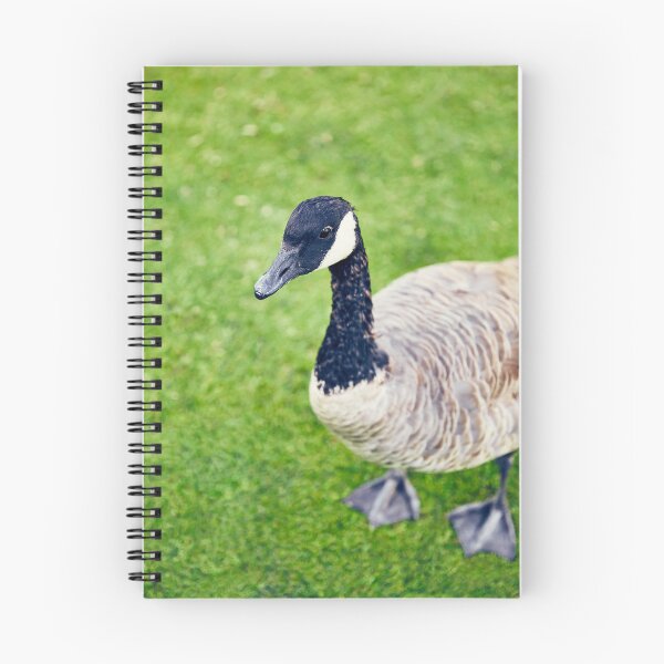 Item preview, Riverfront Park Goose, Spokane, WA designed and sold by Acorns + Oak Photography.
