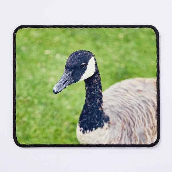 Item preview, Riverfront Park Goose, Spokane, WA designed and sold by Acorns + Oak Photography.