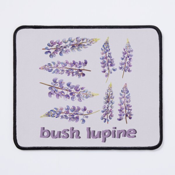 Item preview, Bush Lupine designed and sold by AlchemyColor.
