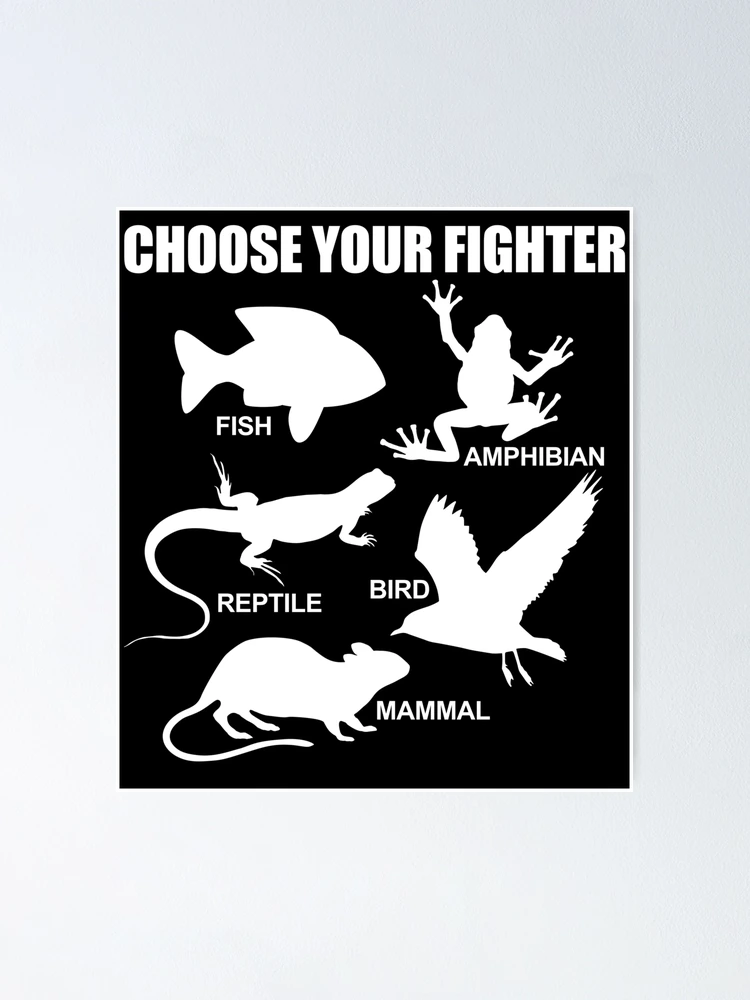 Vertebrate Types: Fish Amphibian Reptile Bird Mammal