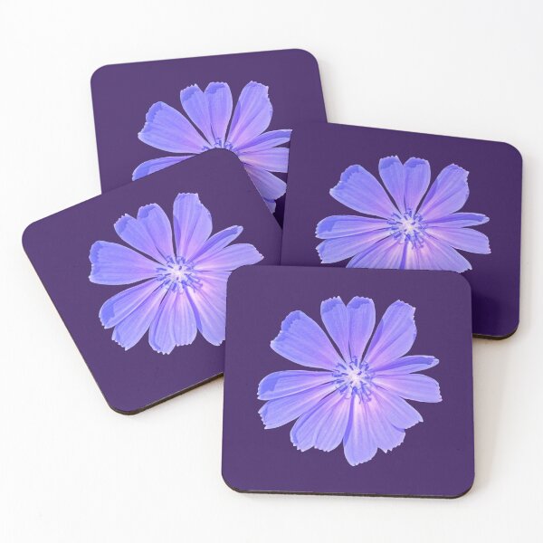 Item preview, Chicory Flower designed and sold by lumijoanna.