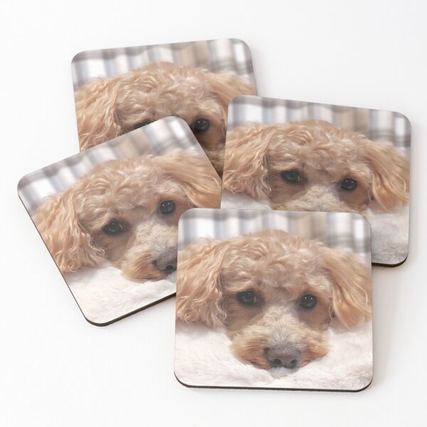 Item preview, Apricot Maltipoo  designed and sold by Liz Lane.