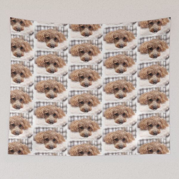 Item preview, Apricot Maltipoo  designed and sold by Liz Lane.
