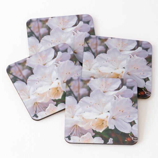 Item preview, Beautiful White Spring Azalea Flowers Photography designed and sold by CaytlinEPhotos.