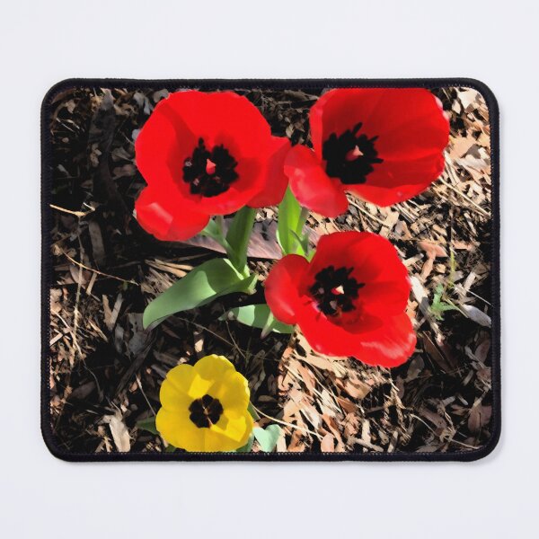 Item preview, Tulips Welcoming Spring designed and sold by AMRansom.