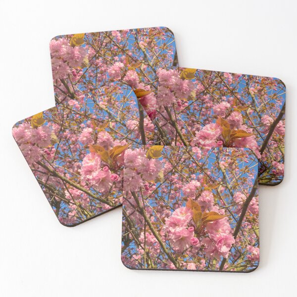 Item preview, Sunlit Cherry Blossom designed and sold by Violaman.