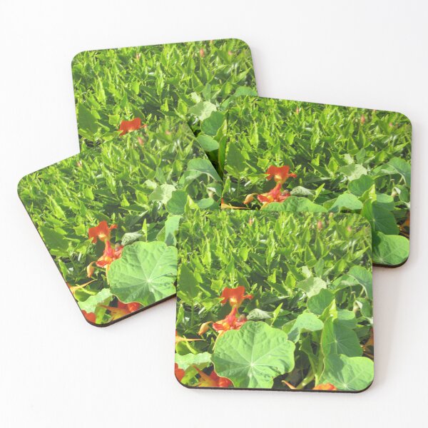 Item preview, ornamental flower plant in the garden designed and sold by sadeek1021953Ss.