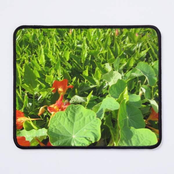 Item preview, ornamental flower plant in the garden designed and sold by sadeek1021953Ss.