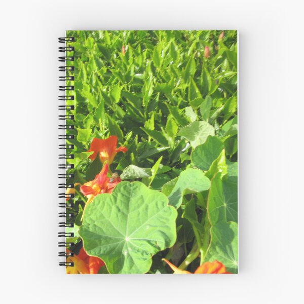 Item preview, ornamental flower plant in the garden designed and sold by sadeek1021953Ss.