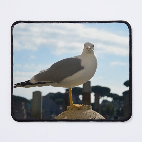 Item preview, Europe - Rome, An attentive observer designed and sold by Natasha Cusmanich.