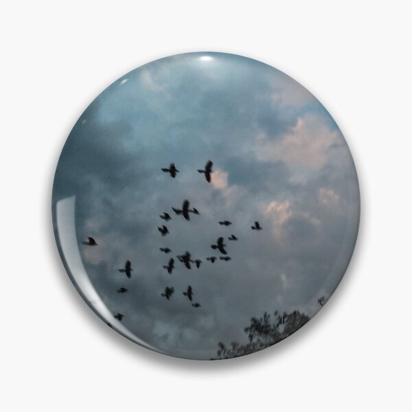 Item preview, birds in the sky designed and sold by June16th.