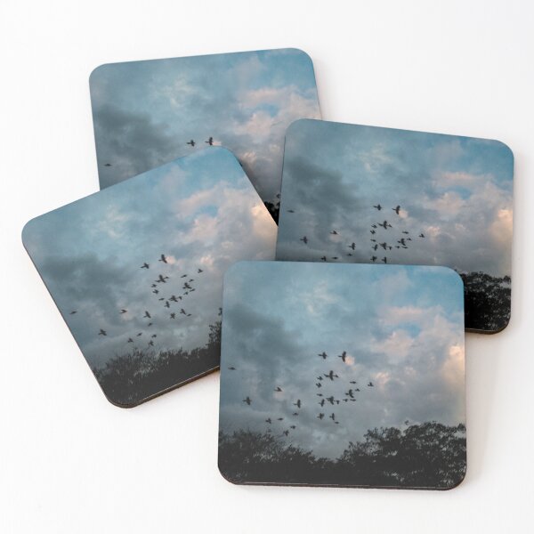 Item preview, birds in the sky designed and sold by June16th.