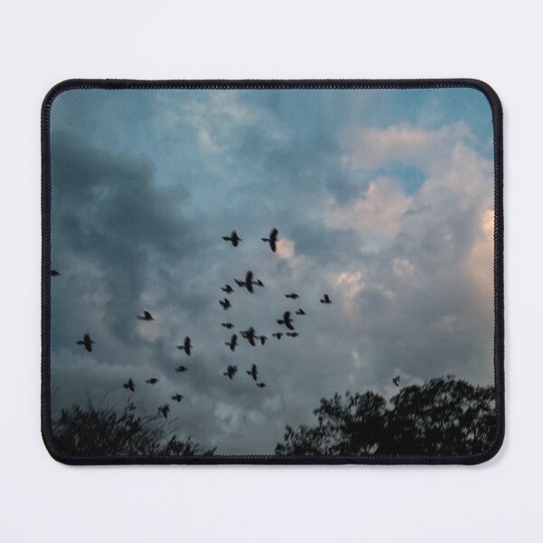 Item preview, birds in the sky designed and sold by June16th.