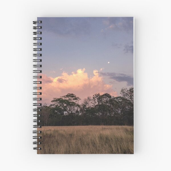 Item preview, sunset in the field designed and sold by June16th.