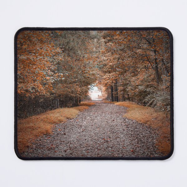 Item preview, On The Autumn Trail Park Photography designed and sold by CaytlinEPhotos.