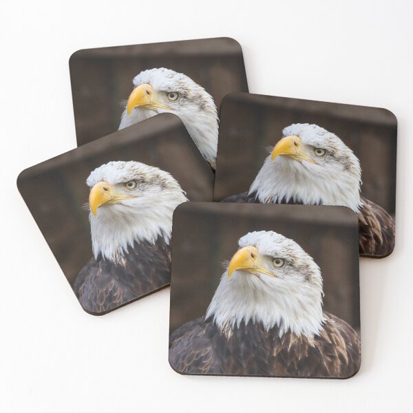 Item preview, Statuesque bald eagle designed and sold by Martin Fenton.