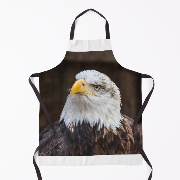 Item preview, Statuesque bald eagle designed and sold by Martin Fenton.